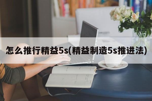 怎么推行精益5s(精益制造5s推进法)